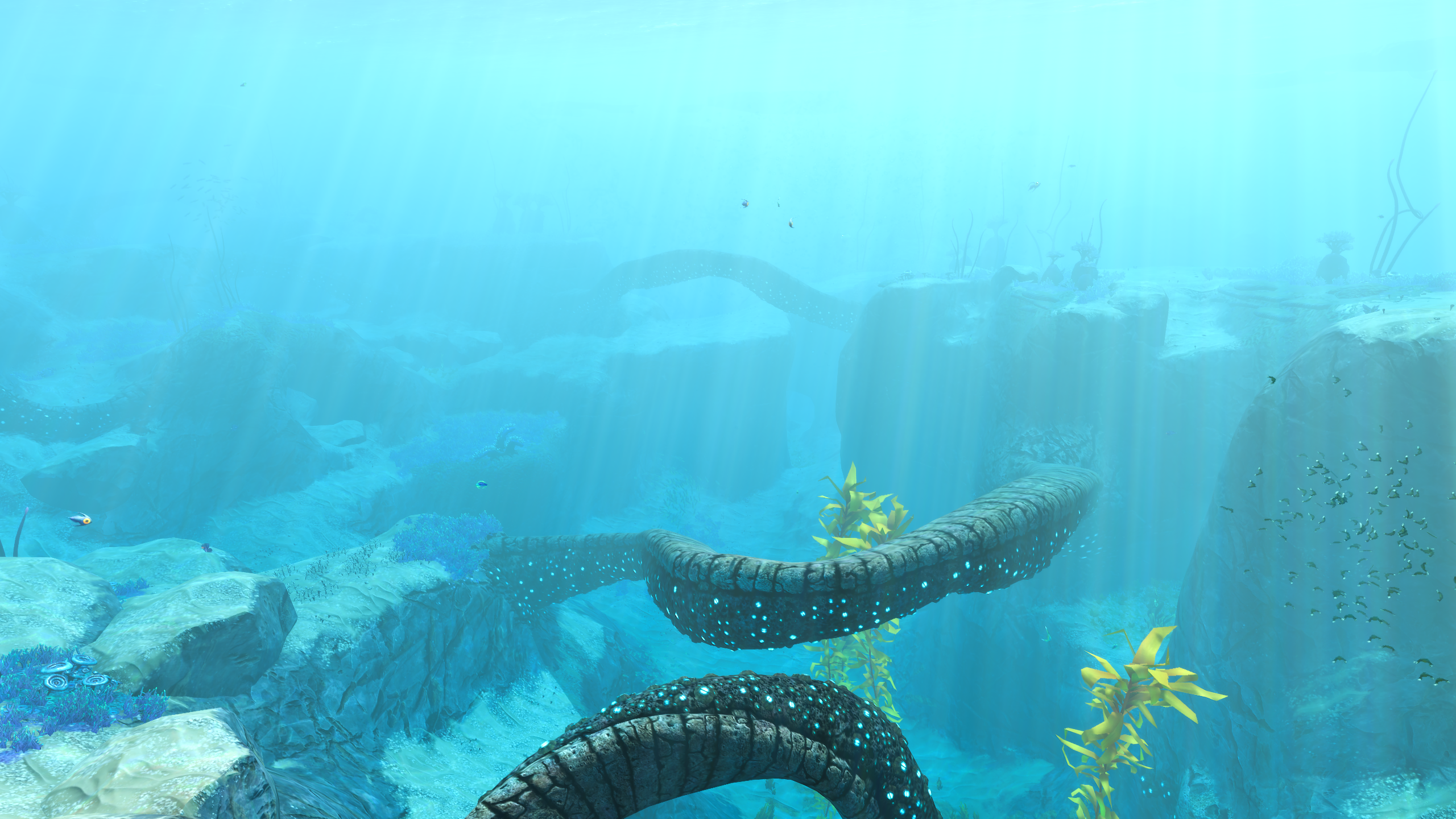 浅海扭曲之桥.png