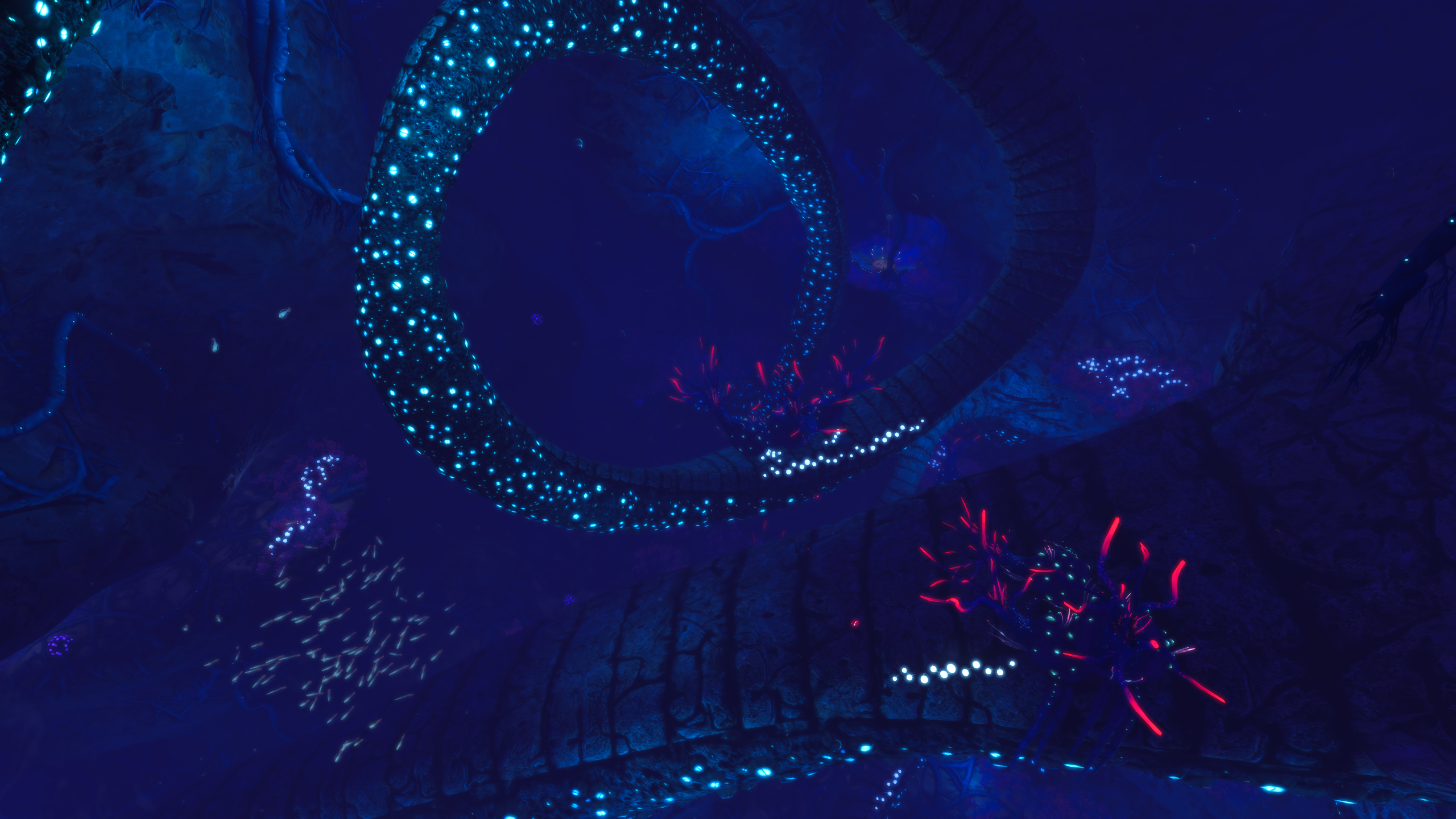 深扭曲之桥.png