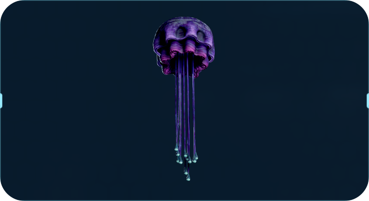 悬挂海樽.png