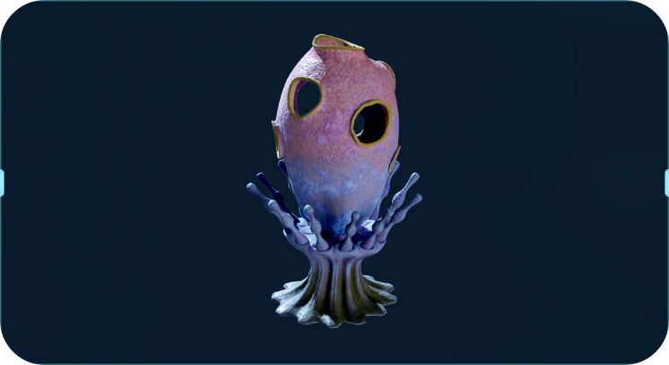 水瓶海绵.png