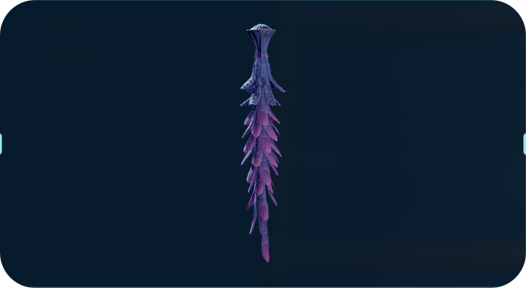 花环水母.png