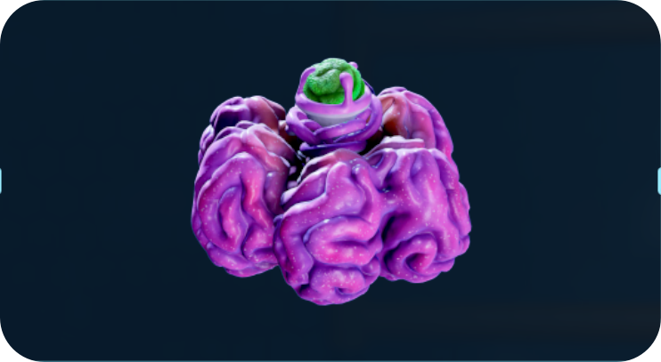 酸液囊巢虫.png