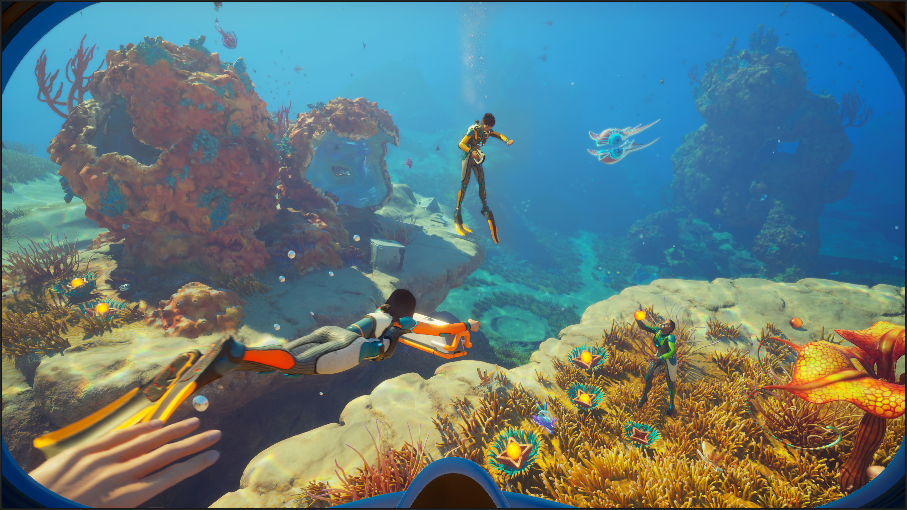sn2_coral_gardens_with_friends_4k_explore_with_friends.jpg