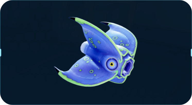 四翅海鞘.png