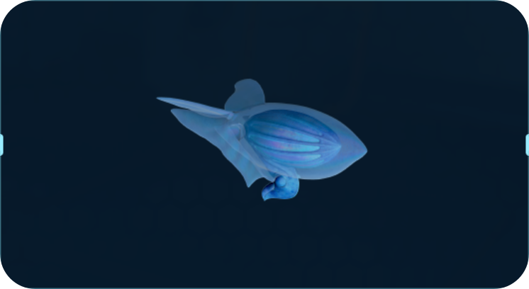氢海鱿鱼.png