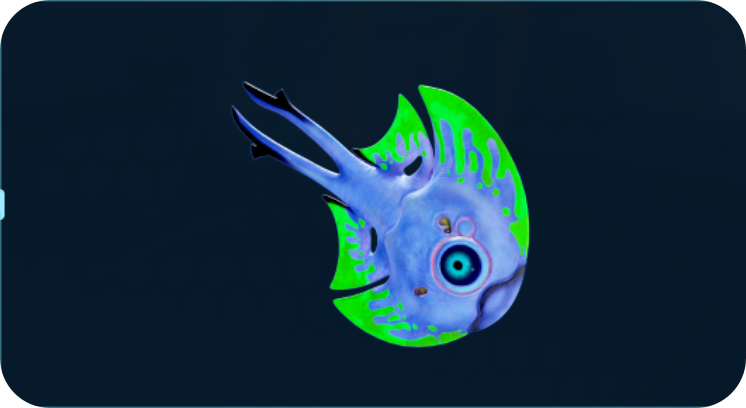满月鱼.png