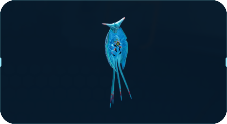角壳贝.png