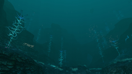 500px-bloodkelpzonenorthtrue.jpg