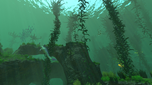 500px-kelpforesttrue.jpg